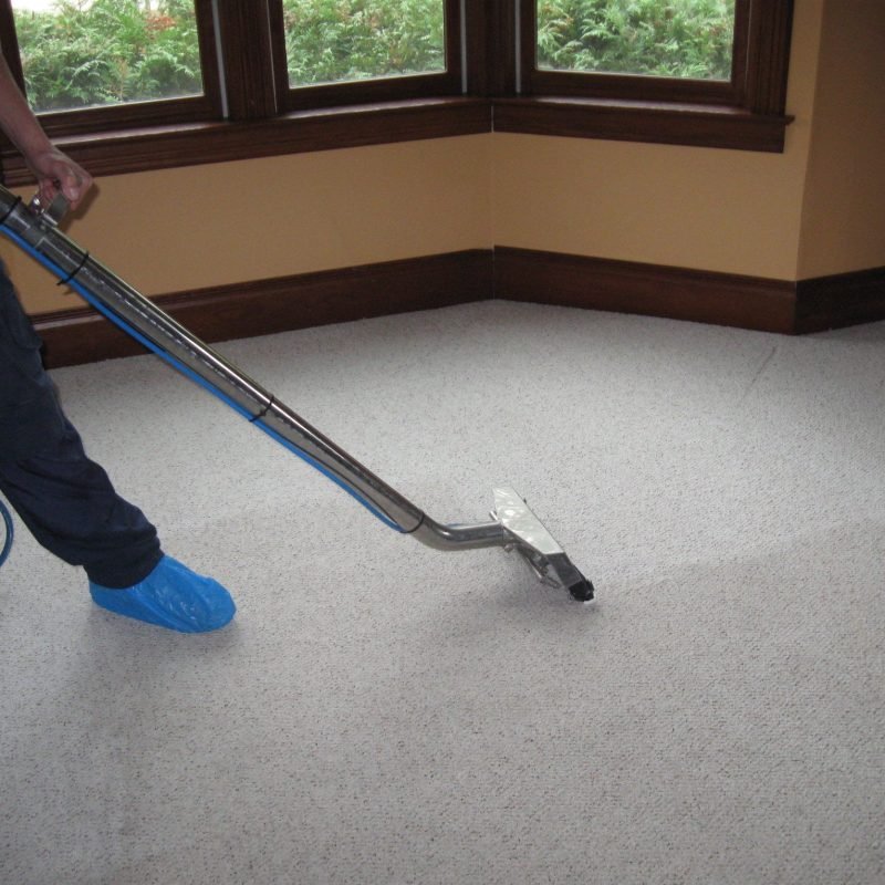 carpet-cleaning-on-going