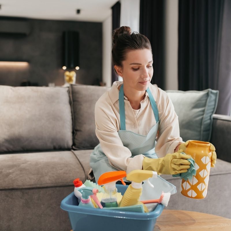 Busy day. Young woman doing housework and looking busy
